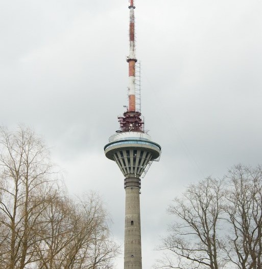 _DSC0025_513x768