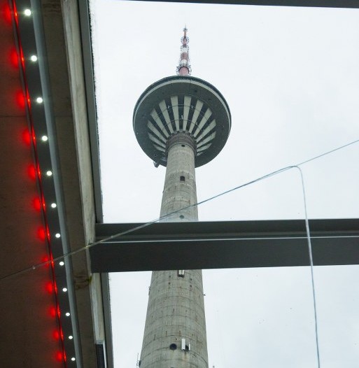 _DSC0062_513x768