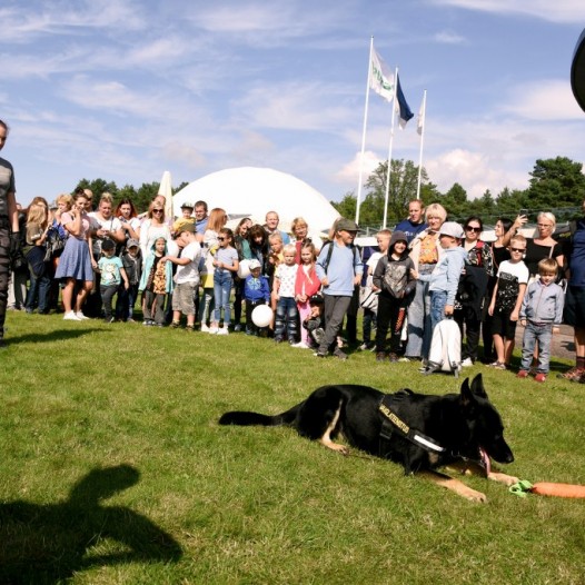 DSC_8495_1024x683